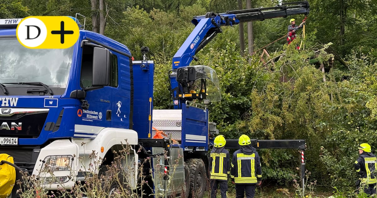 Storm claims lives: Hunter killed by giant branch in hunting blind in the ...