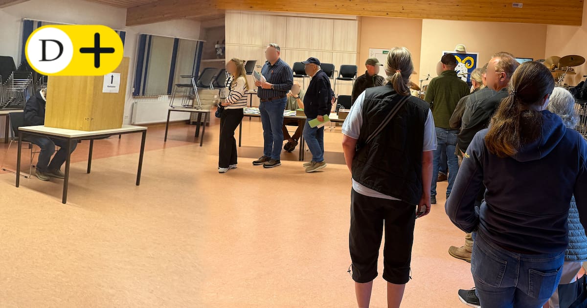 Hameln: Long lines in front of polling stations - | City explains voting ...