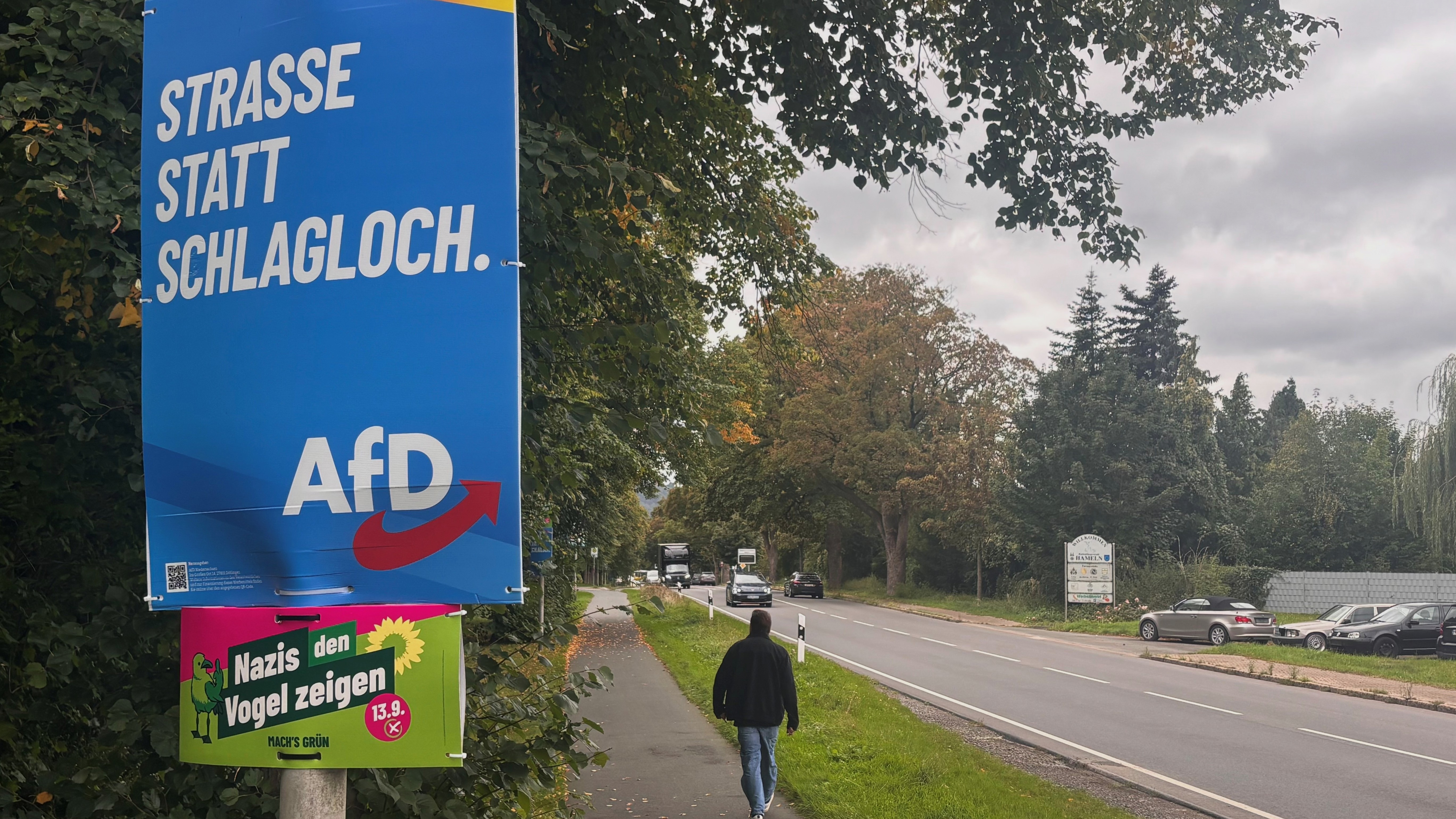 Hameln-Pyrmont local elections: What does the AfD say about the large ...